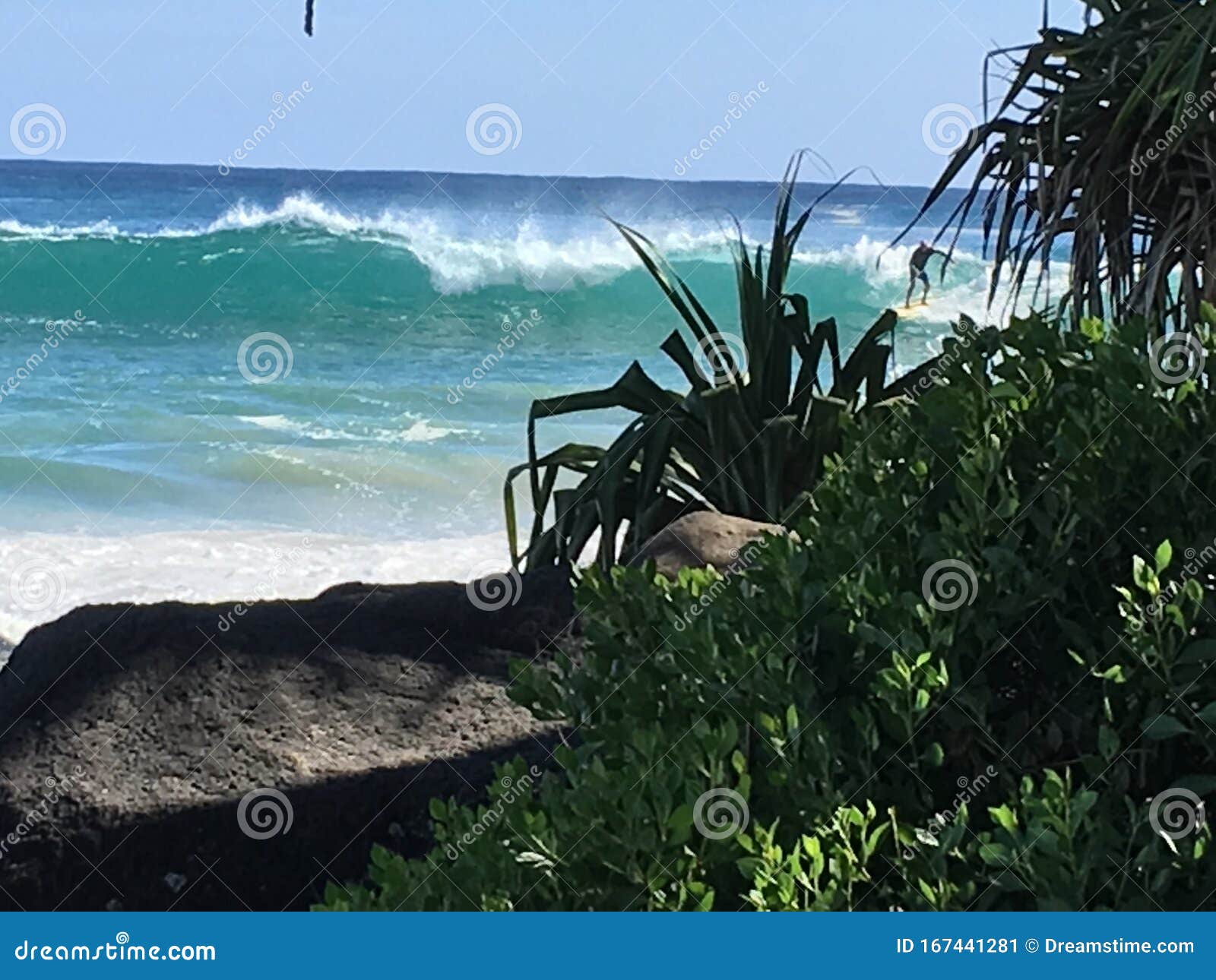 surfer gliding across the lip of the wave