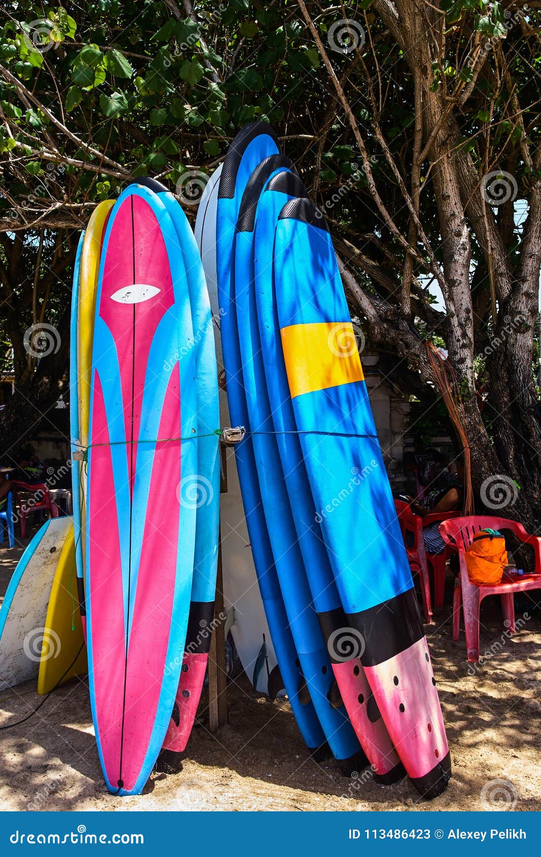 Surfing Boards Standing on the Beach Stock Image Image of hawaii