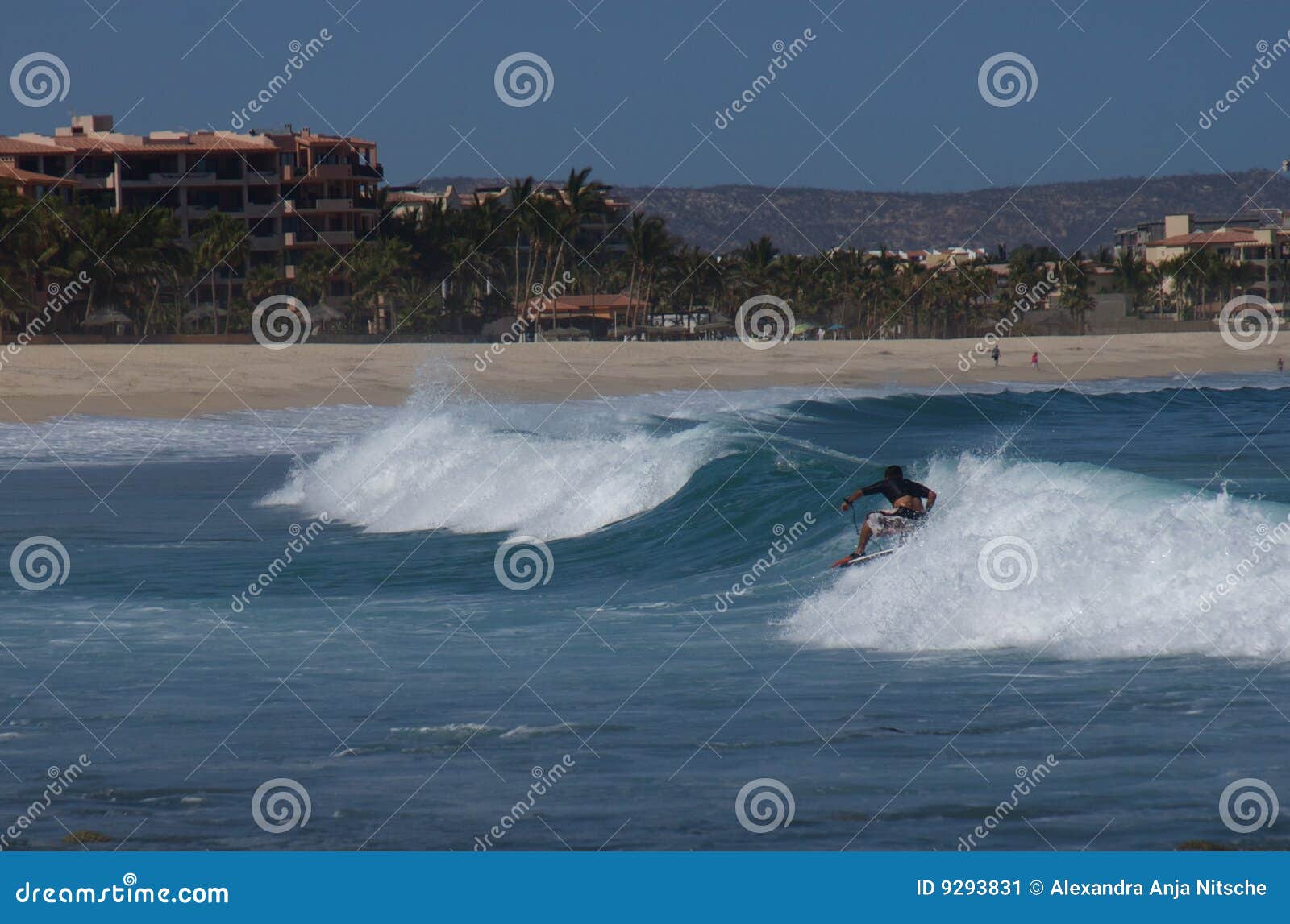 surfing costa azul los cabos mexico
