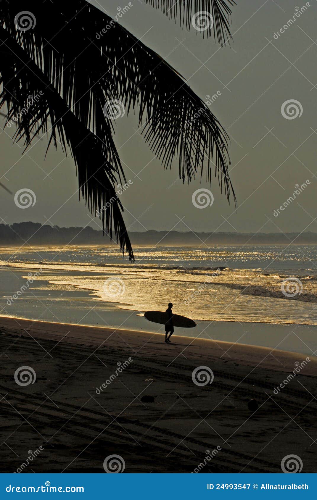 Surfing in early morning stock image. Image of silhouette 24993547