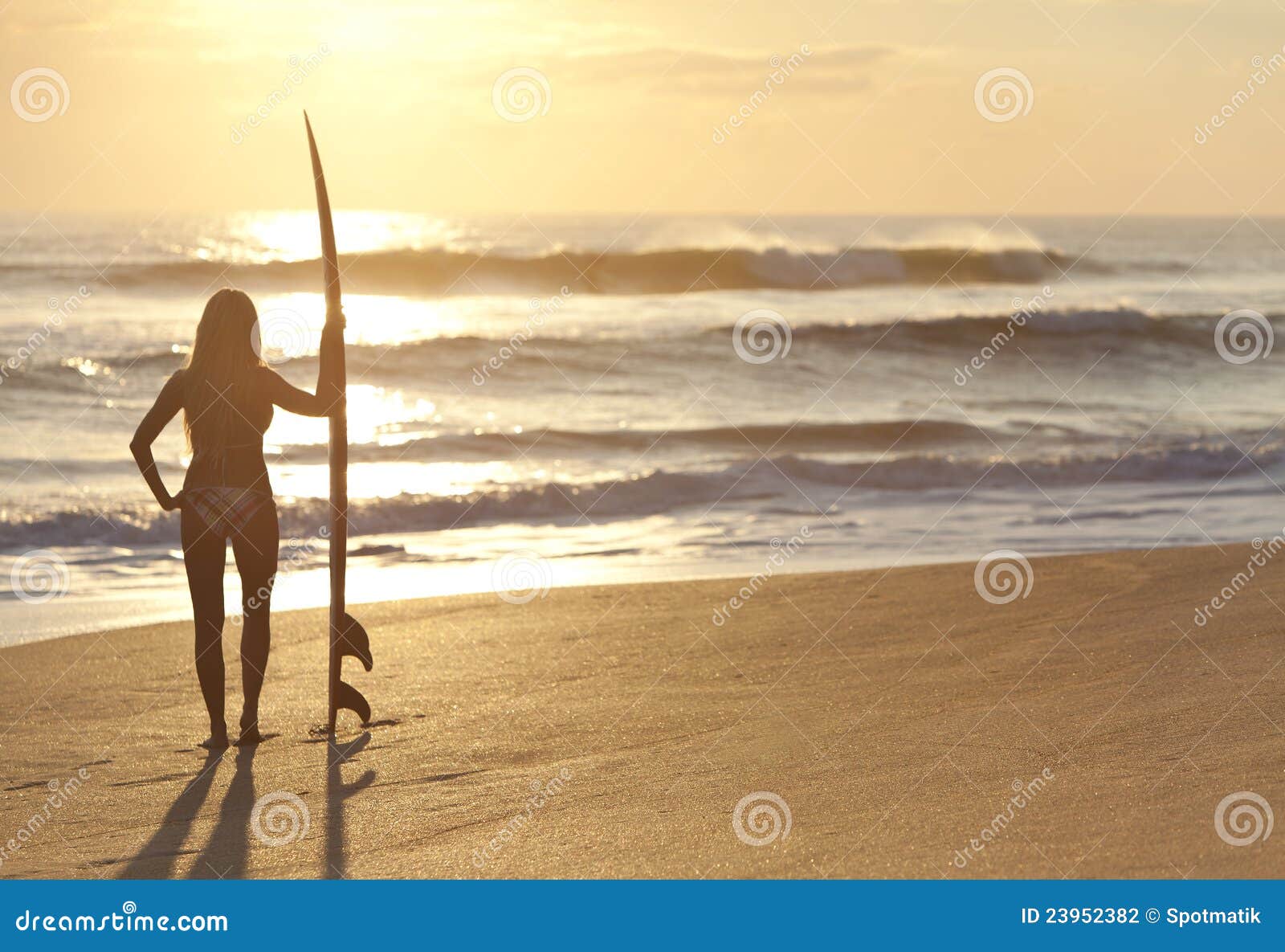 Surfista della donna in bikini &amp; surf alla spiaggia di tramonto. Retrovisione di bella ragazza del surfista della giovane donna in bikini con il surfbord ad una spiaggia al tramonto o all'alba