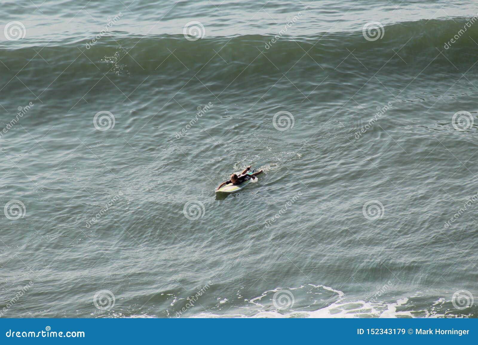 Surfs Up Surfing in Myrtle Beach Editorial Stock Image Image of beach