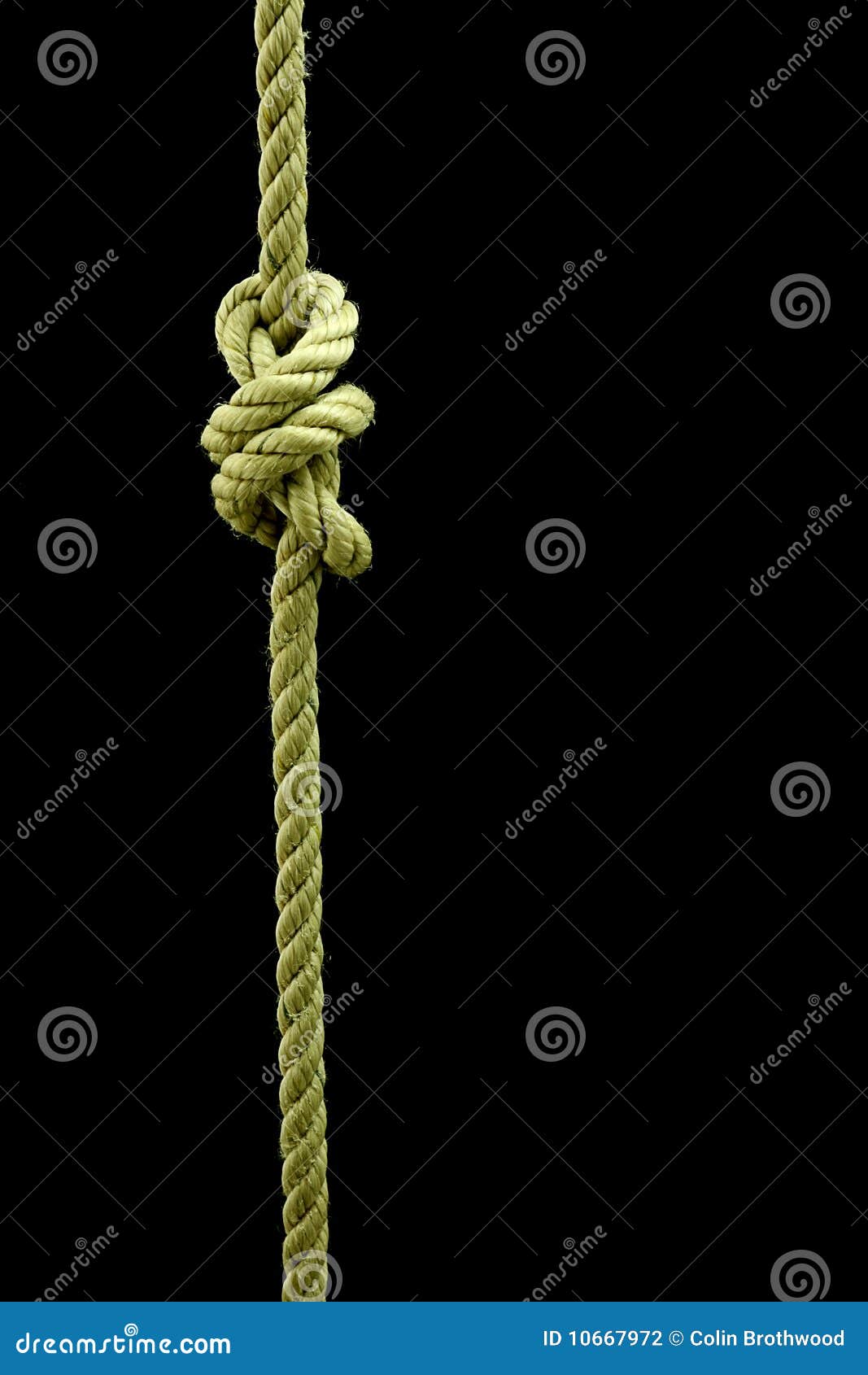 Surgeon s Knot stock photo. Image of safe, diagonal, tied 10667972