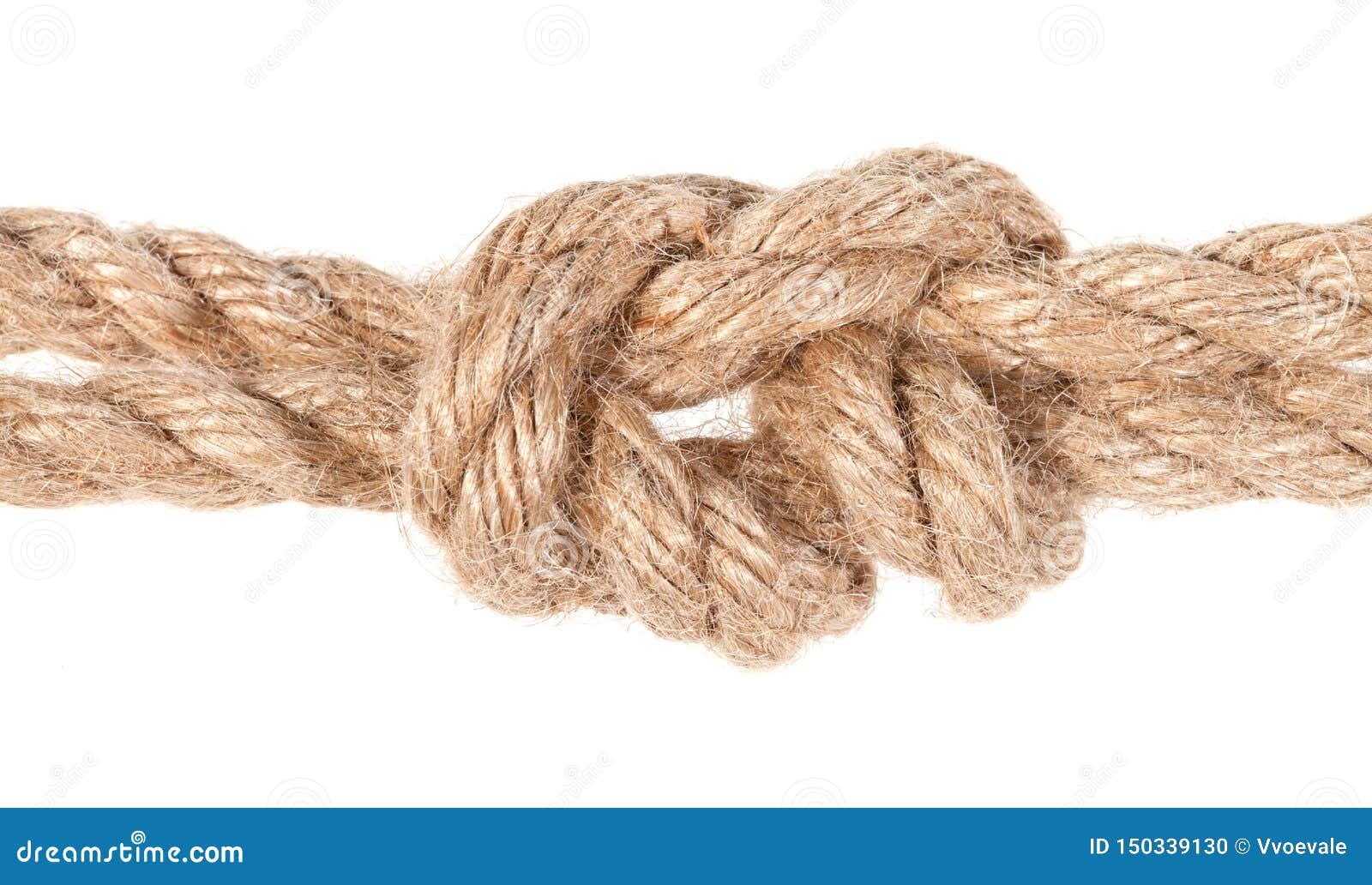 Surgeon`s Knot Joining Two Ropes Close Up Isolated Stock Photo Image