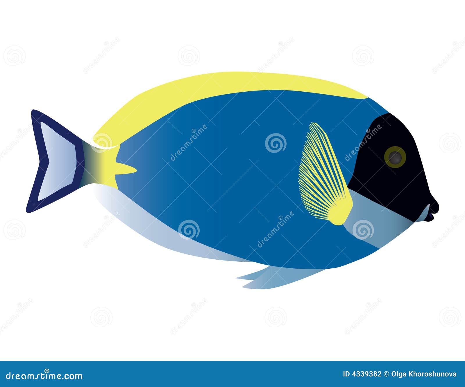 surgeonfish.