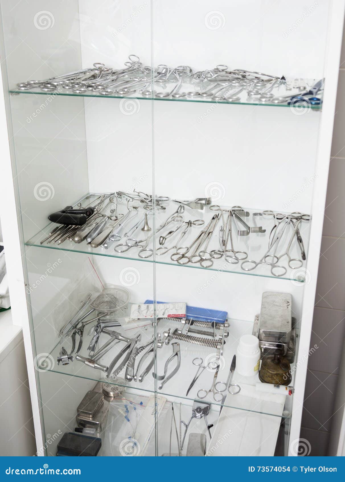 Surgical Equipment in Veterinary Clinic Stock Photo Image of