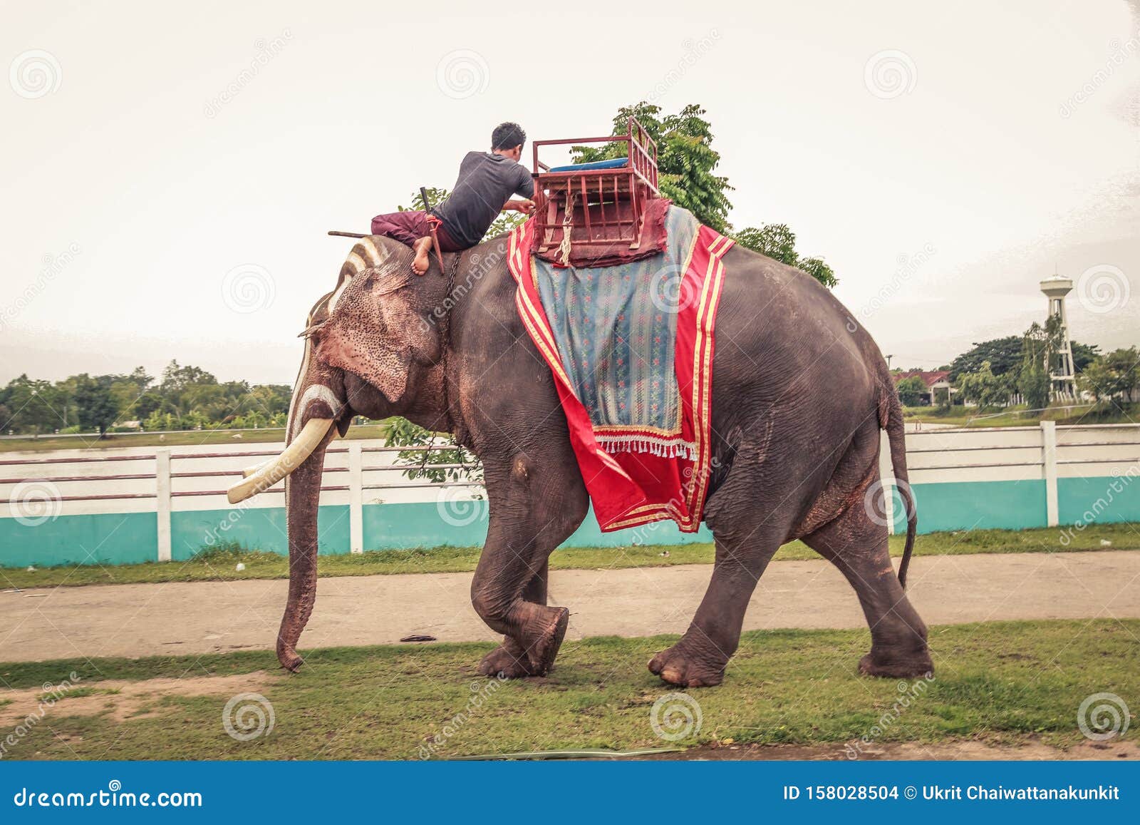 Redding Sluimeren Onderdrukking Surin, Thailand - ? 20 Juli, ? 2018 : Mahouts En Olifanten Gaan Werken in Het Carnaval Redactionele Stock Afbeelding - Image of arbeid, moeilijk: 158028504 Redding Sluimeren Onderdrukking Surin, Thailand - ? 20 Juli, ? 2018 : Mahouts En Olifanten Gaan Werken in Het Carnaval Redactionele Stock Afbeelding - Image of arbeid, moeilijk: 158028504