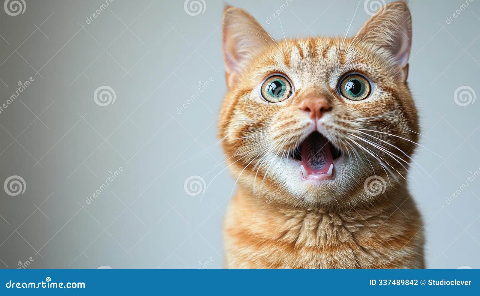 surprised ginger cat with wide eyes â generative ai