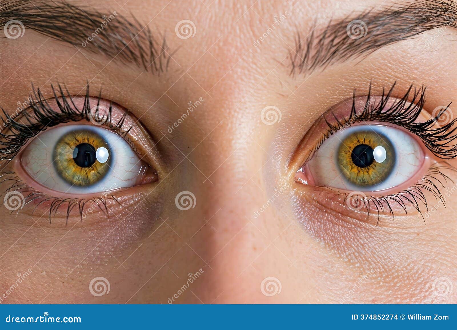 Surprised Hazel Eyes stock illustration. Illustration of wide