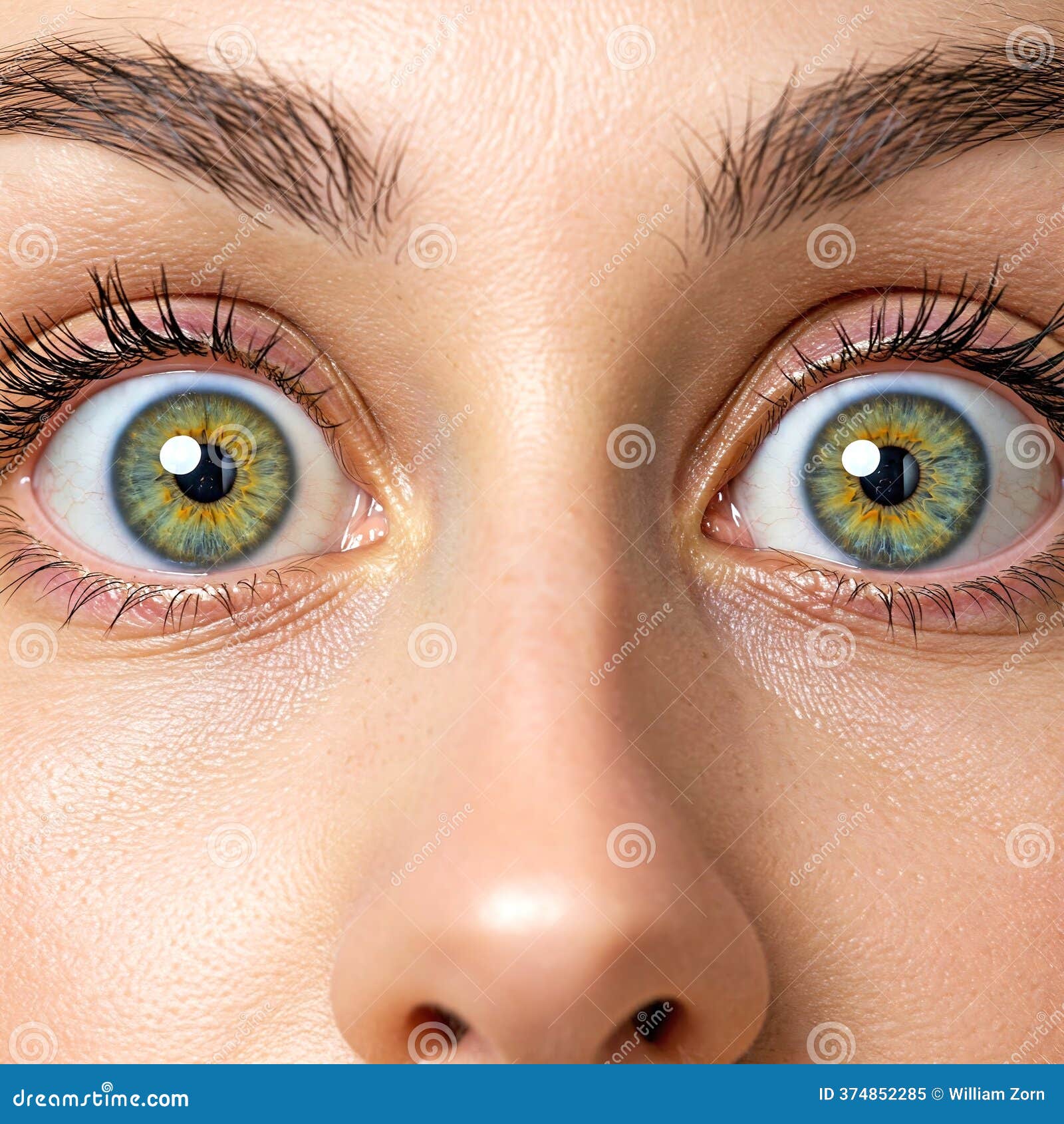 Surprised Hazel Eyes stock illustration. Illustration of portrait