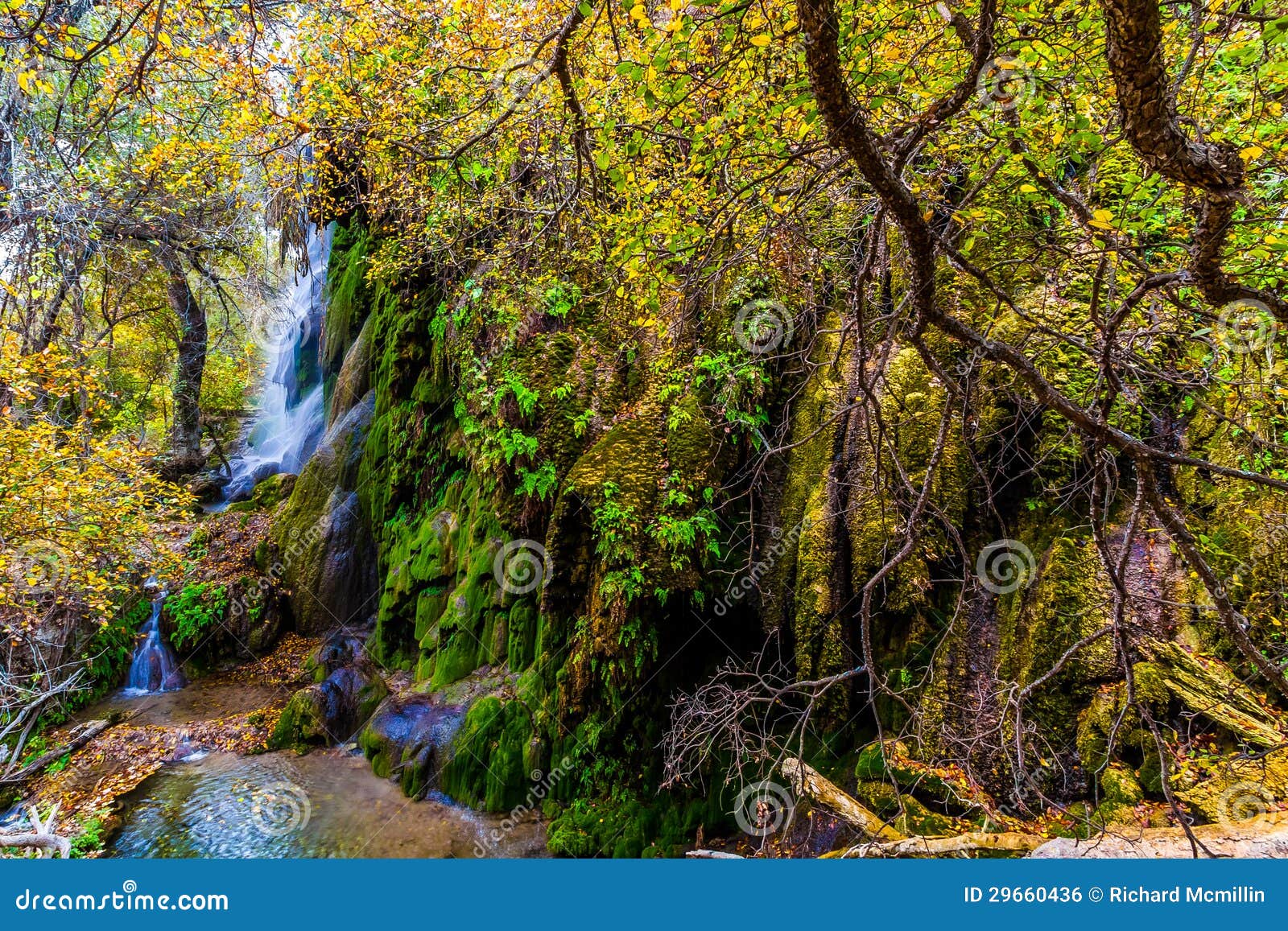 a surreal image of the picturesque gorman falls in texas.