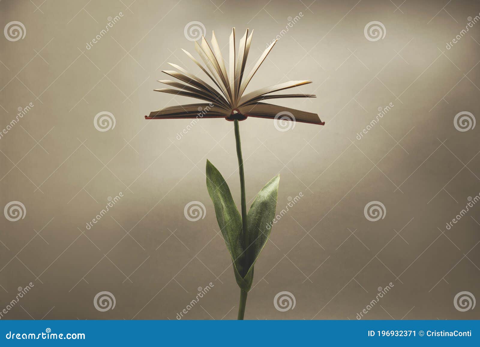 surreal plant with an open book that replaces the flower; fantasy concept