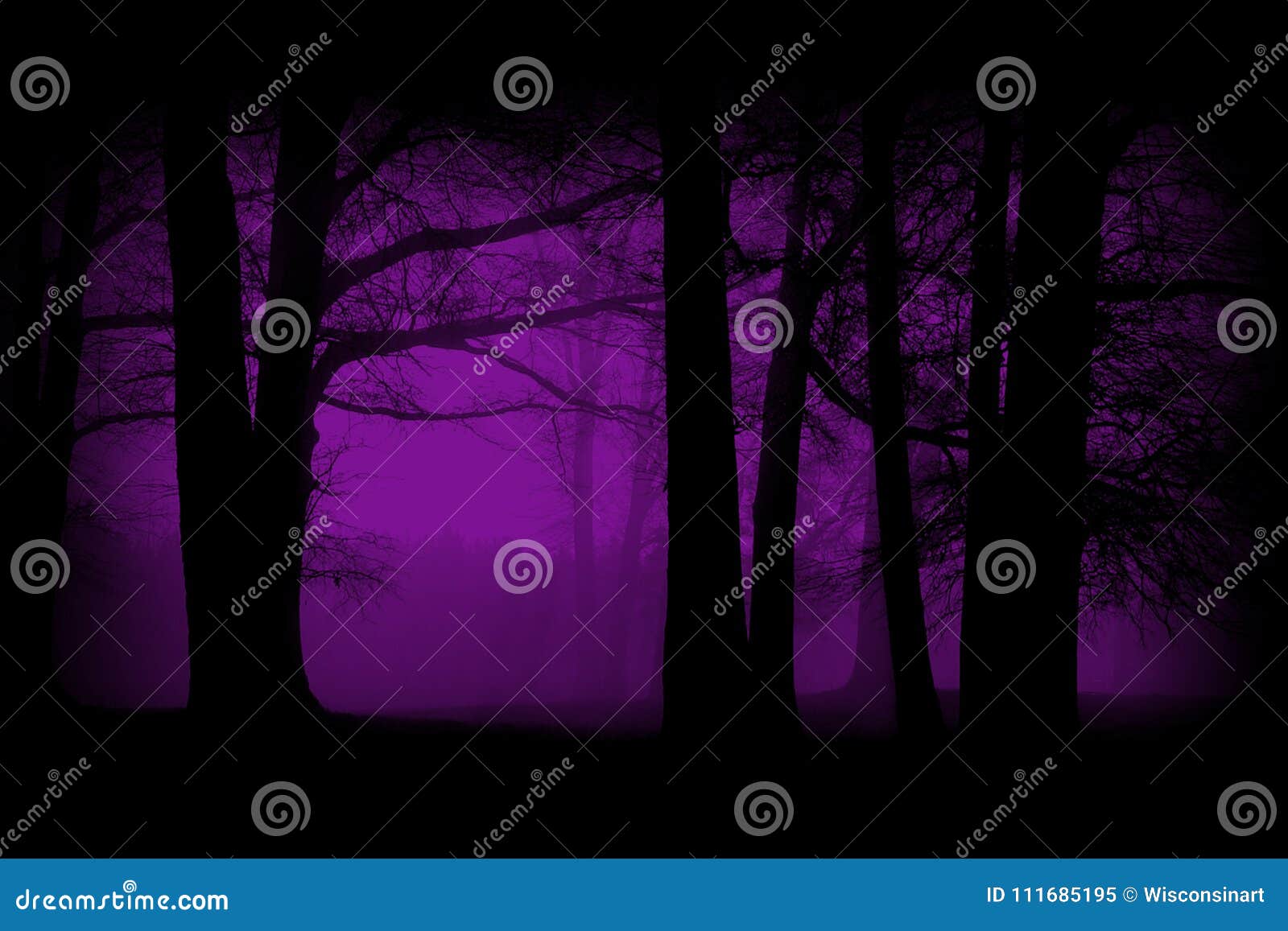purple, violet woods, forest background