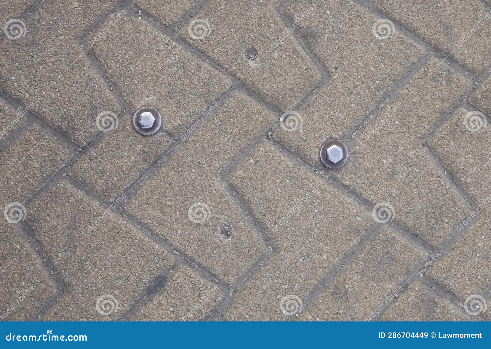 Surveyor Bolt Heads on a Pavement in Madrid Spain Editorial Stock Image