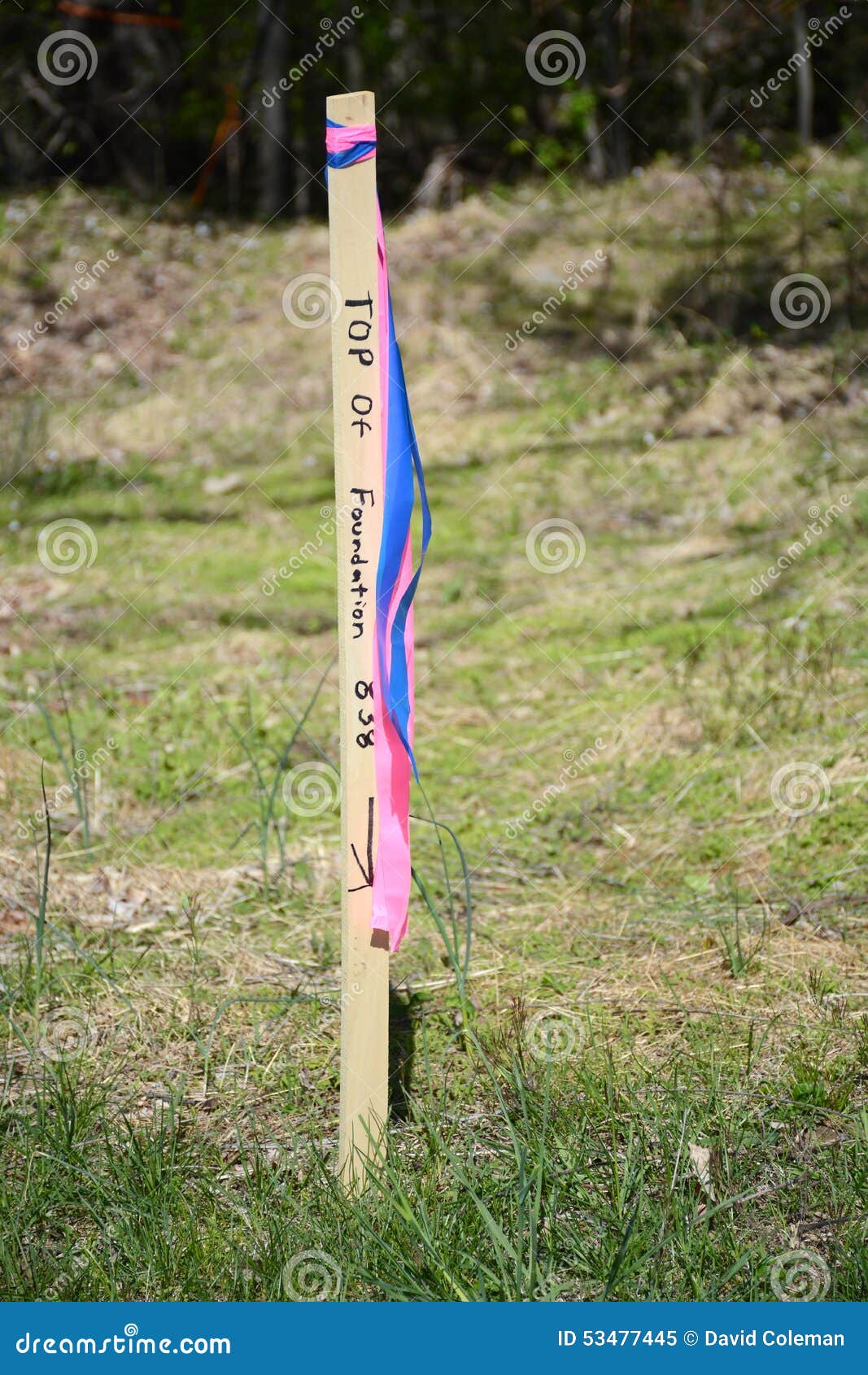 Surveyors stake stock image. Image of stake, marking - 53477445