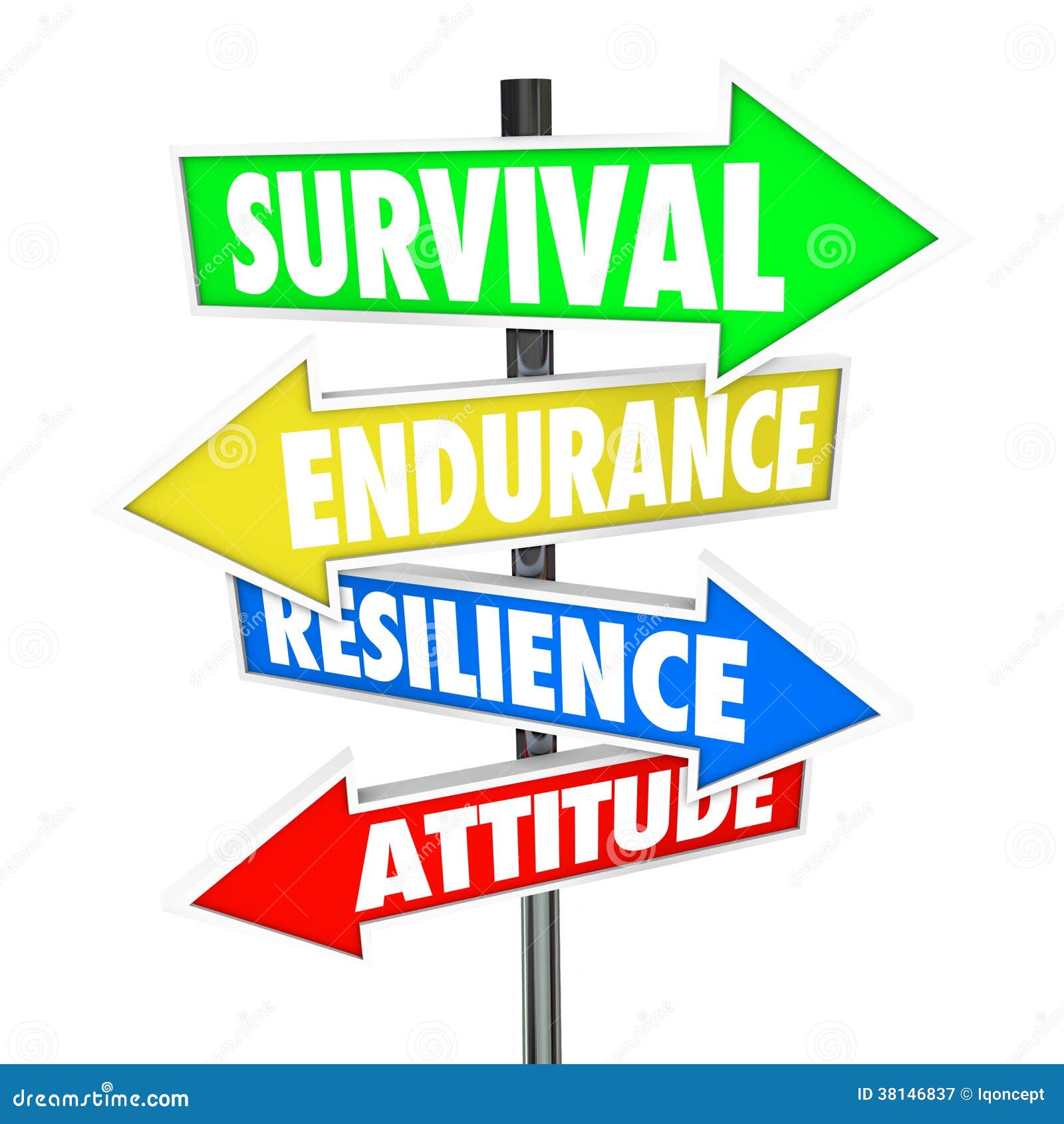 Survival Endurance Resilience Attitude Road Signs Arrows Direction