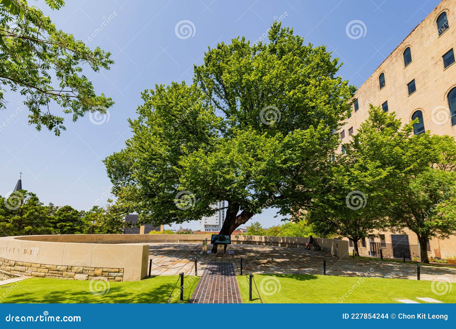 The Survivor Tree – Today – Oklahoma City National Memorial & Museum