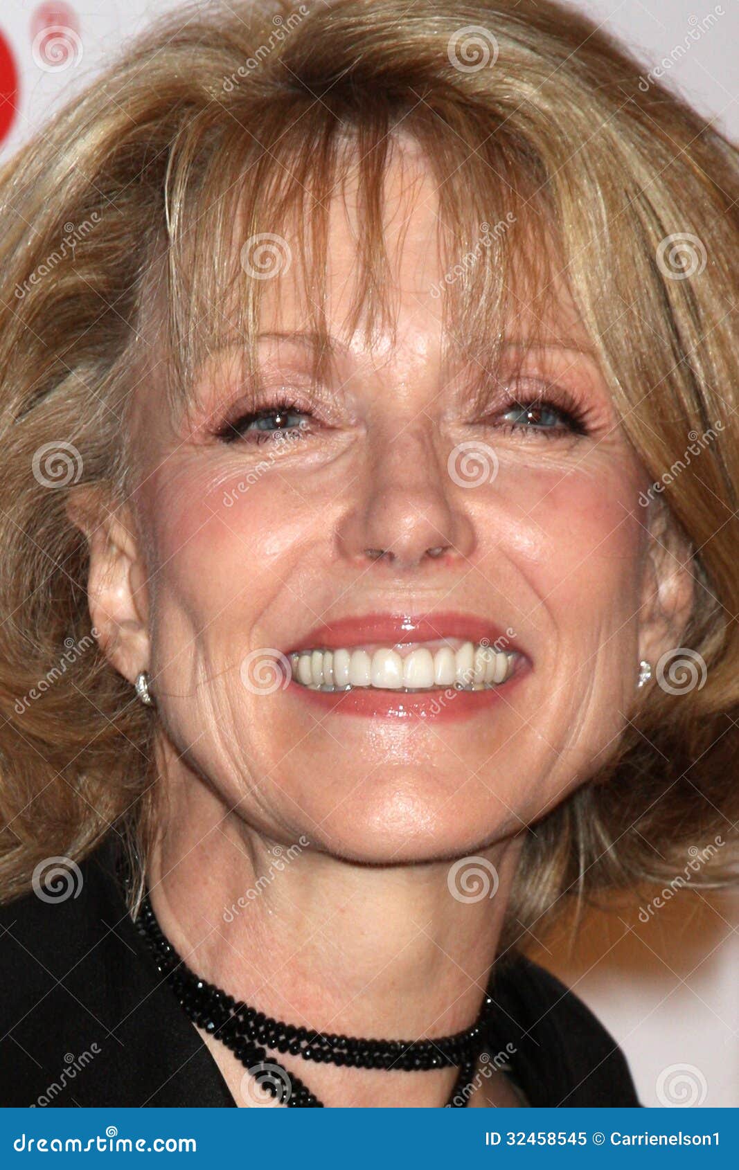 Susan Blakely Net Worth 2022, Biography, Wiki, Career, Awards, Age