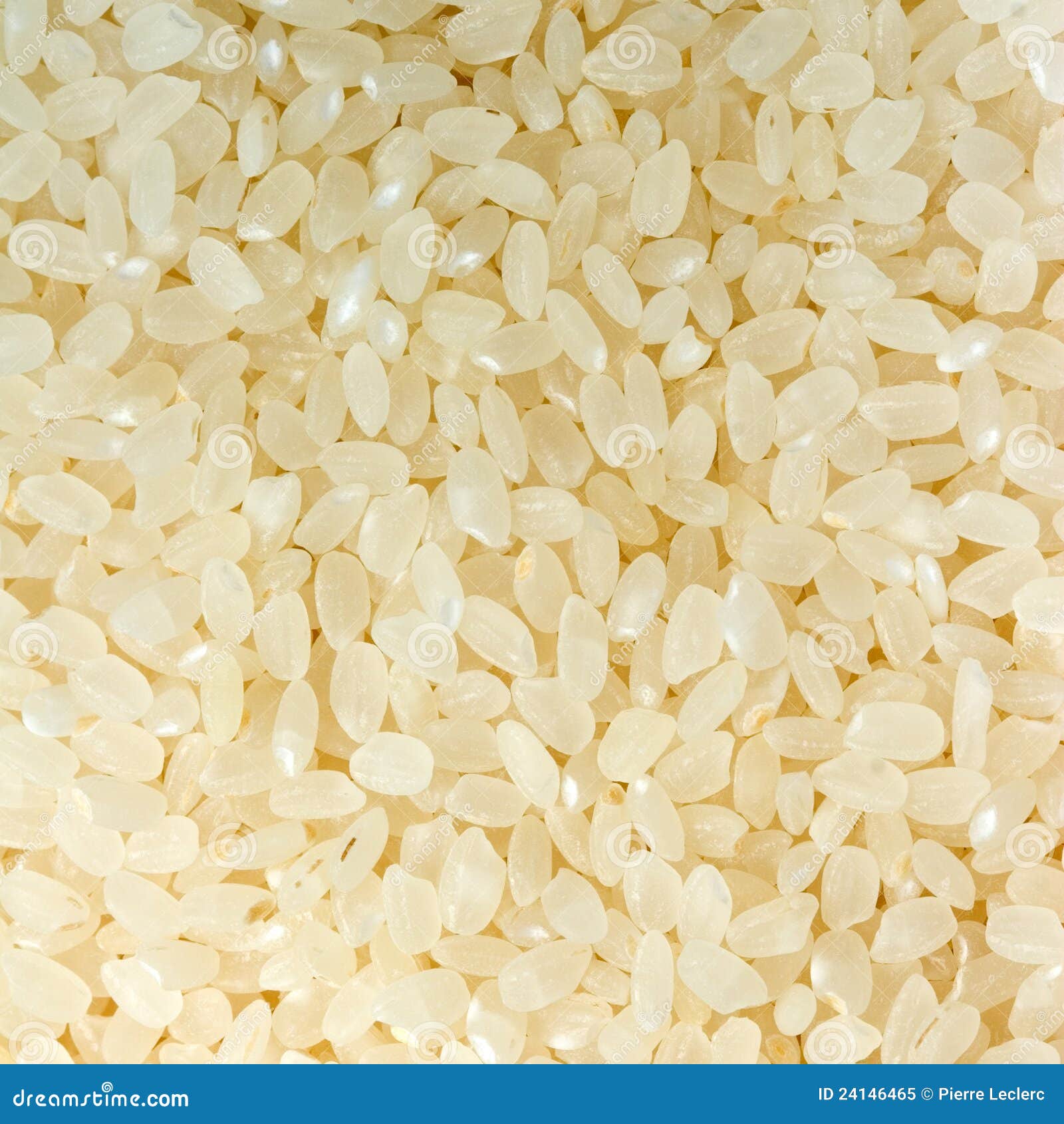 Sushi rice stock image. Image of brand, fresh, vegan 24146465