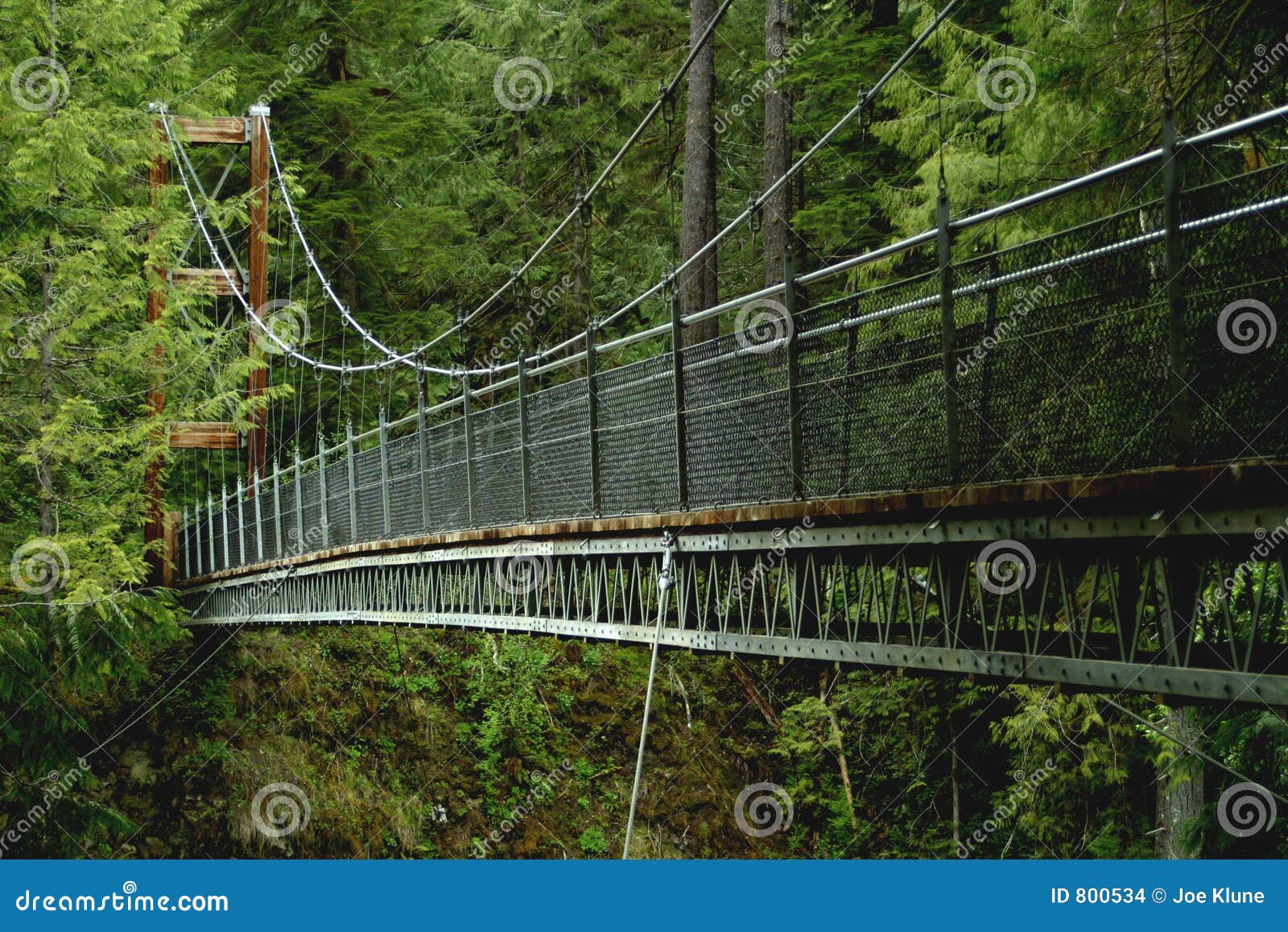 Suspension bridge stock photo. Image of falls, creek, crossing 800534