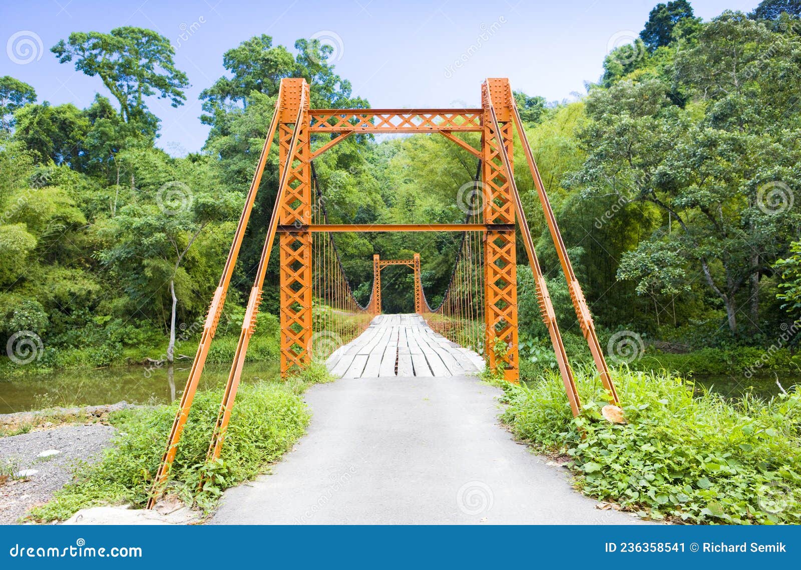 Suspension Bridge, Blanchisseuse, Trinidad Stock Image Image of
