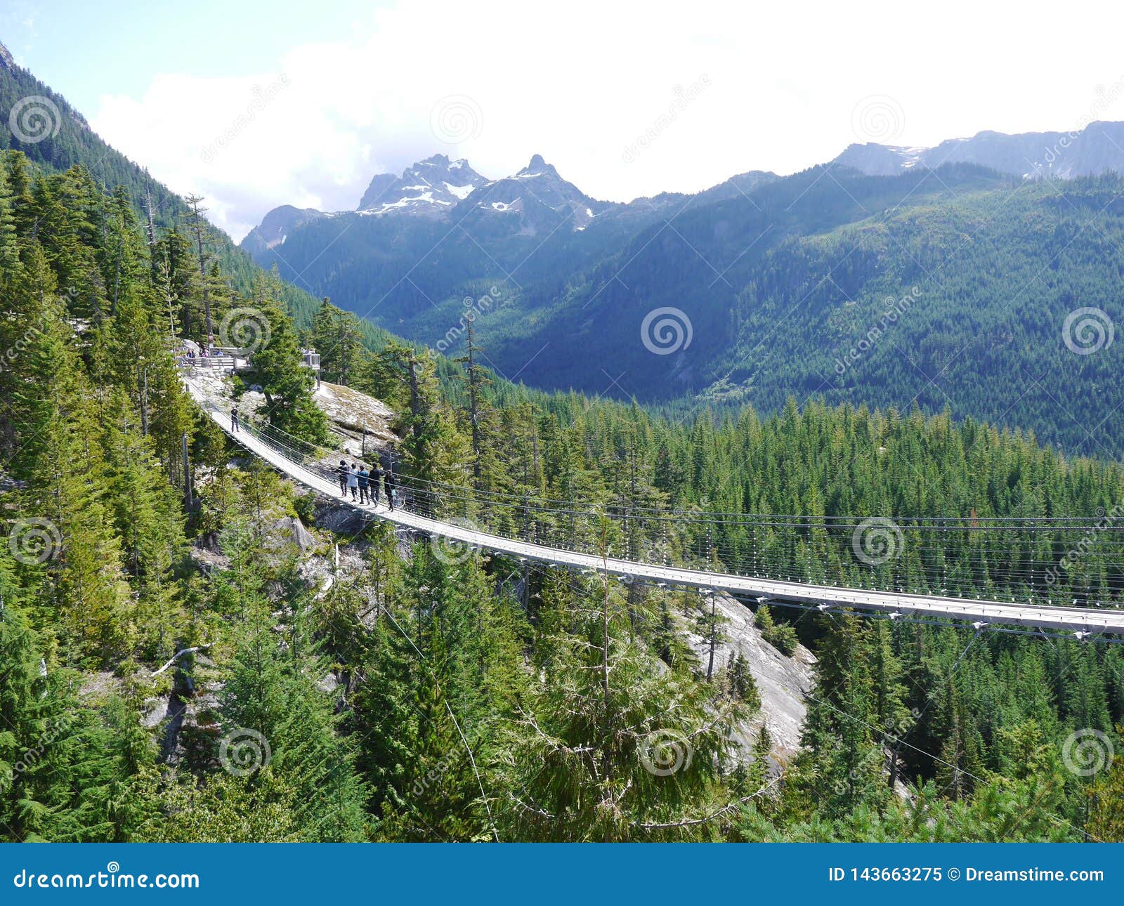 Suspension Bridge Canada Nature Editorial Image Image of suspension