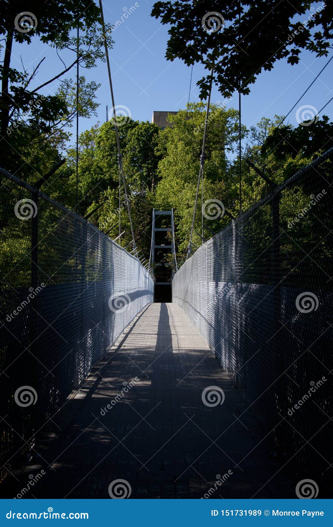 Suspension Bridge at Cornell in Sun Stock Image Image of ithaca, fall