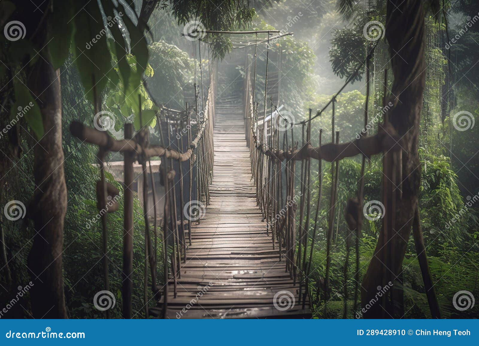 Suspension Bridge in the Jungle Stock Illustration Illustration of