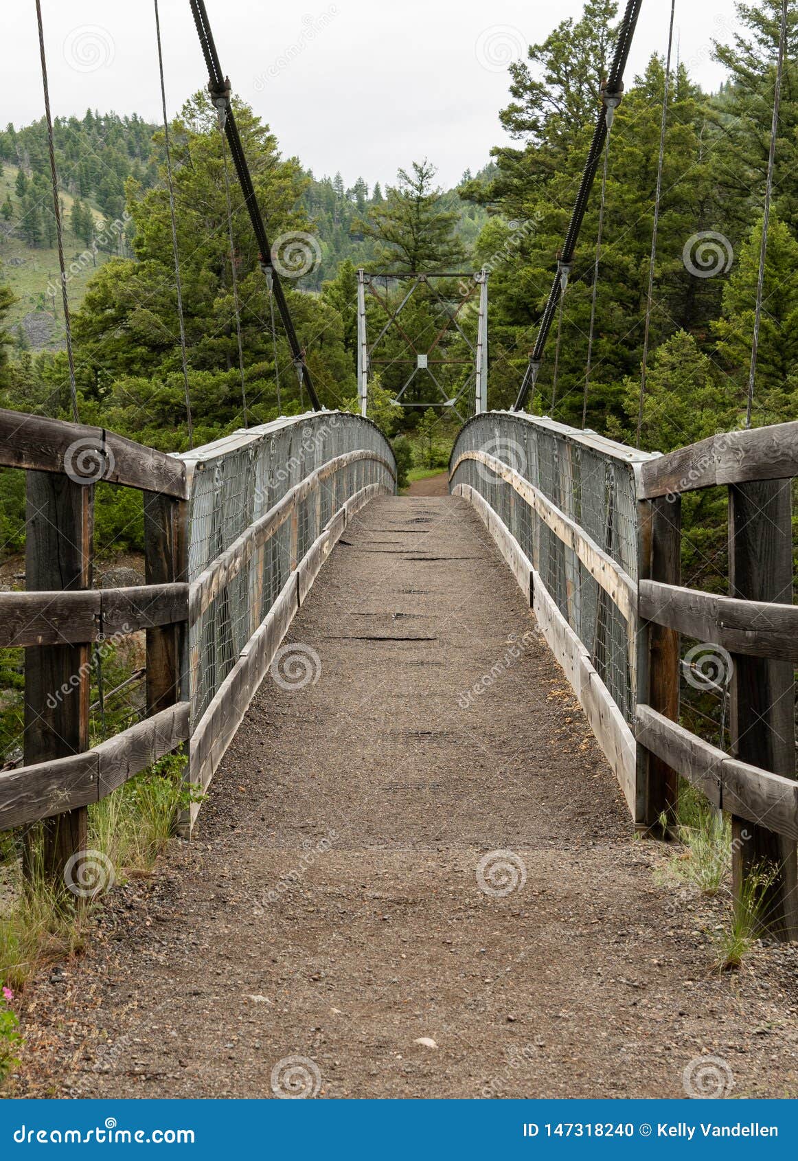 Suspension Bridge Over Yellowstone River Stock Photo Image of trees