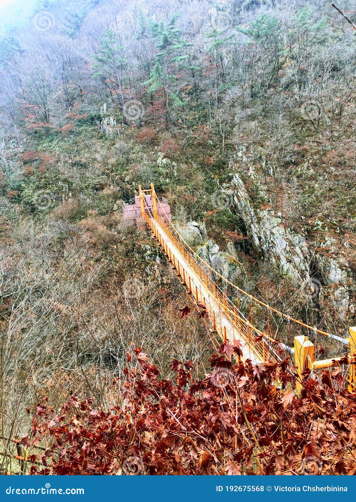 Suspension Bridge in South Korea Stock Photo Image of suspension