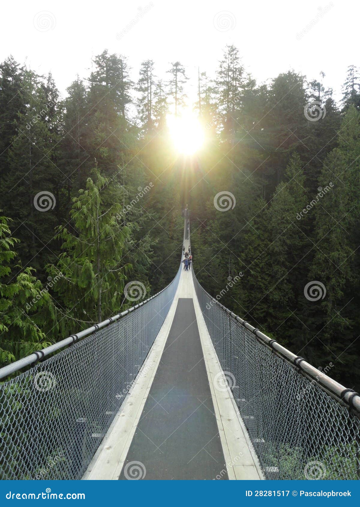Suspension Bridge Vancouver Stock Image Image of sunrise, columbia