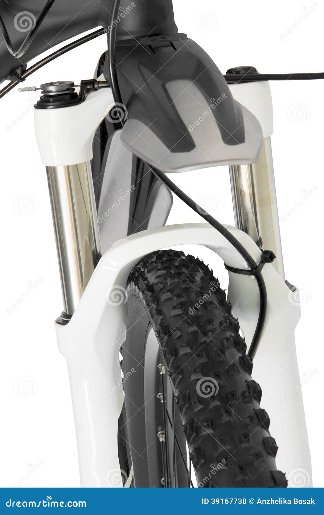 Suspension Fork of Mountain Bike Stock Photo Image of exercise