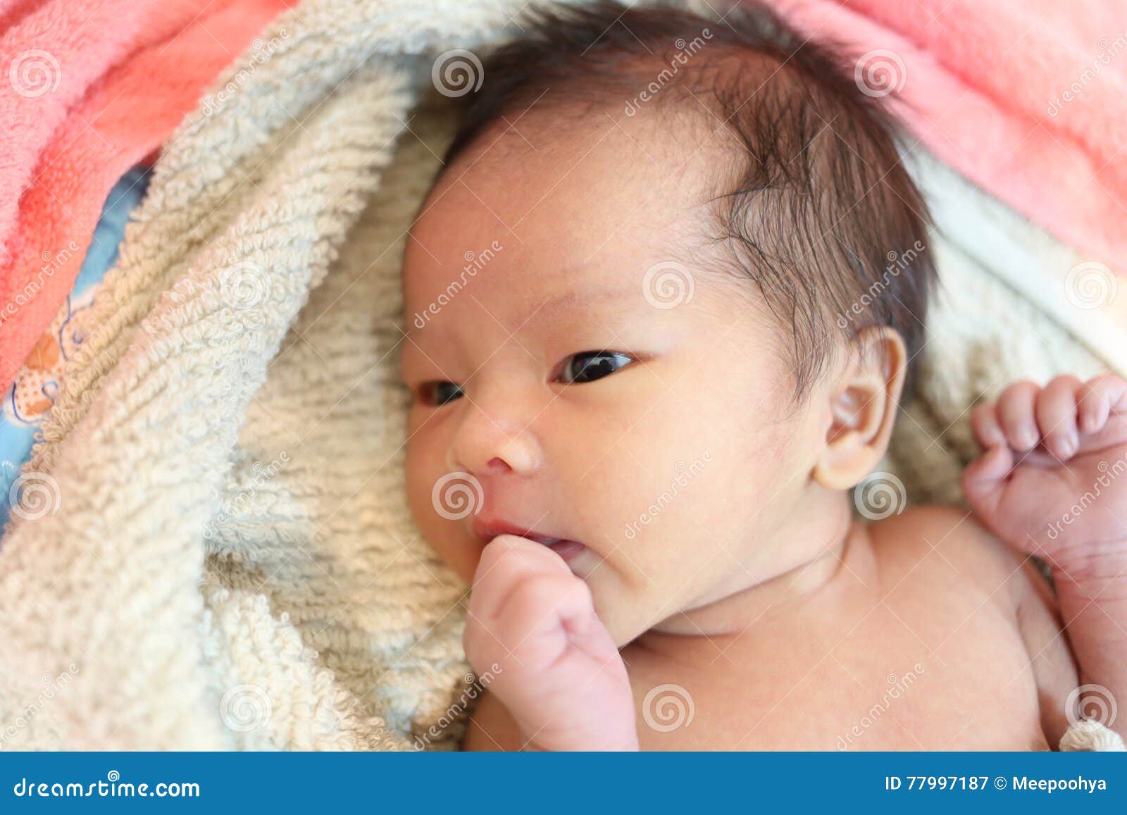 The Baby Brought By Master Is Suspicious Suspicious Baby Boy Facial Expressions on the Bed. Stock Image - Image