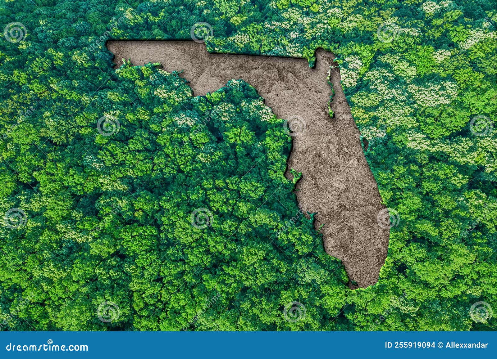 Sustainable Habitat Map of Florida Stock Illustration Illustration of