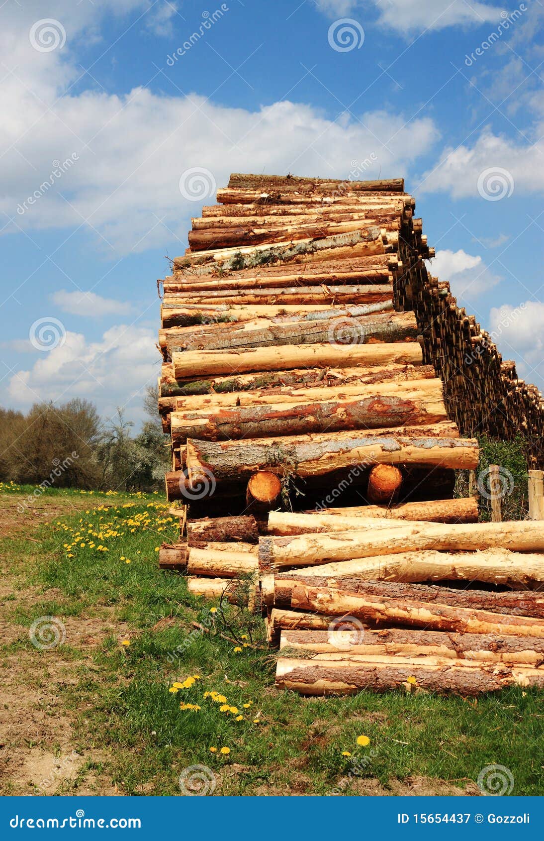 Sustainable Resources Lumber Stock Image Image of carpentry
