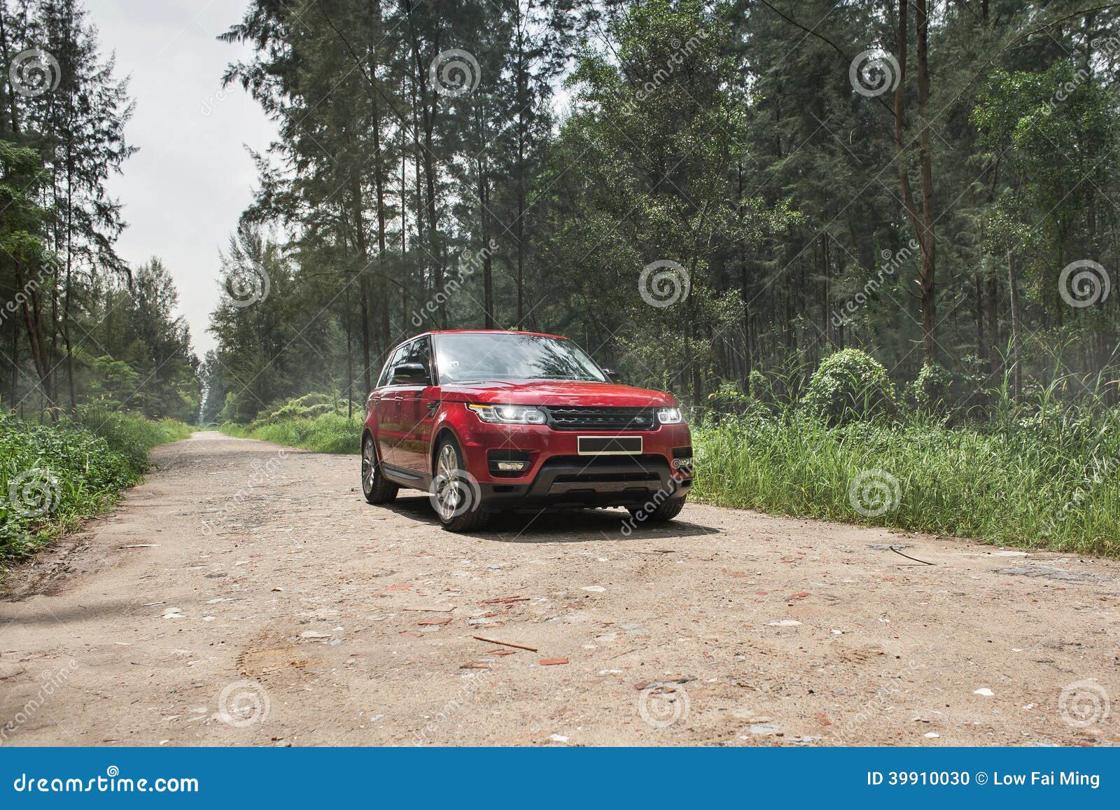 A red suv parked in a forest.