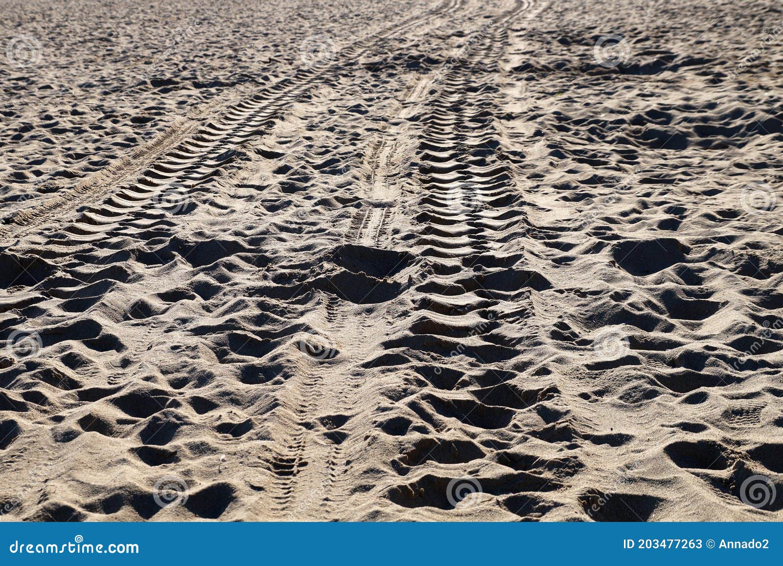 SUV Tire Marks on the Sand in Sunlight Stock Image Image of terrain