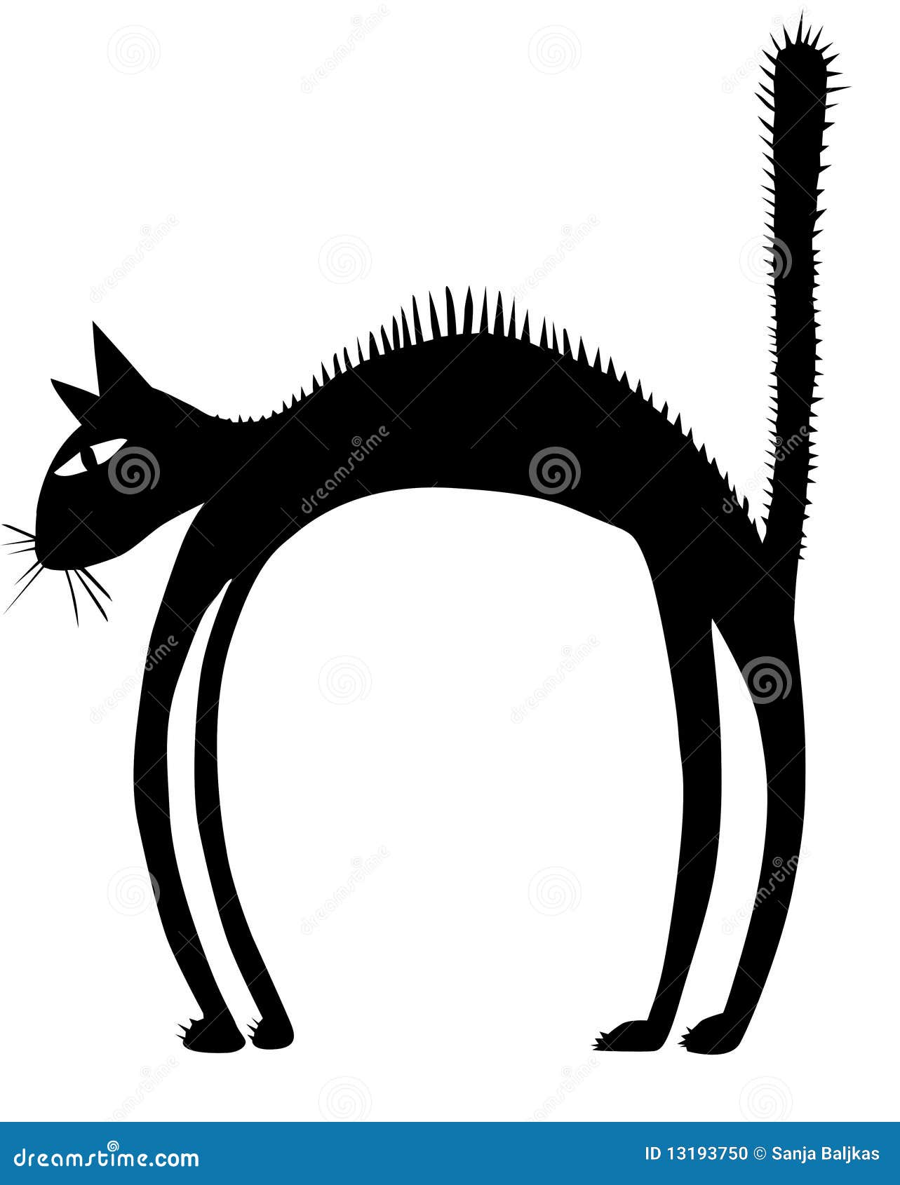 Svart borstkattsilhouette. För borstkatt för bakgrund svarta illustrationer över silhouettewhite