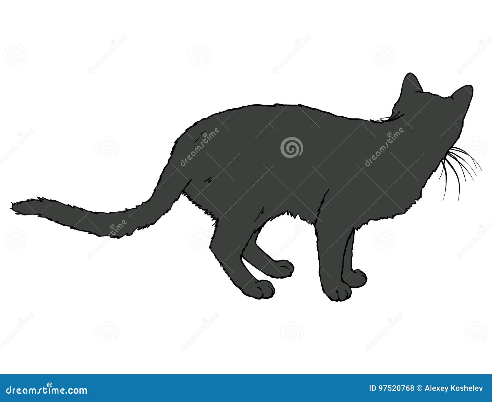 Svarta Cat Turned His Back vektor illustrationer. Illustration av päls