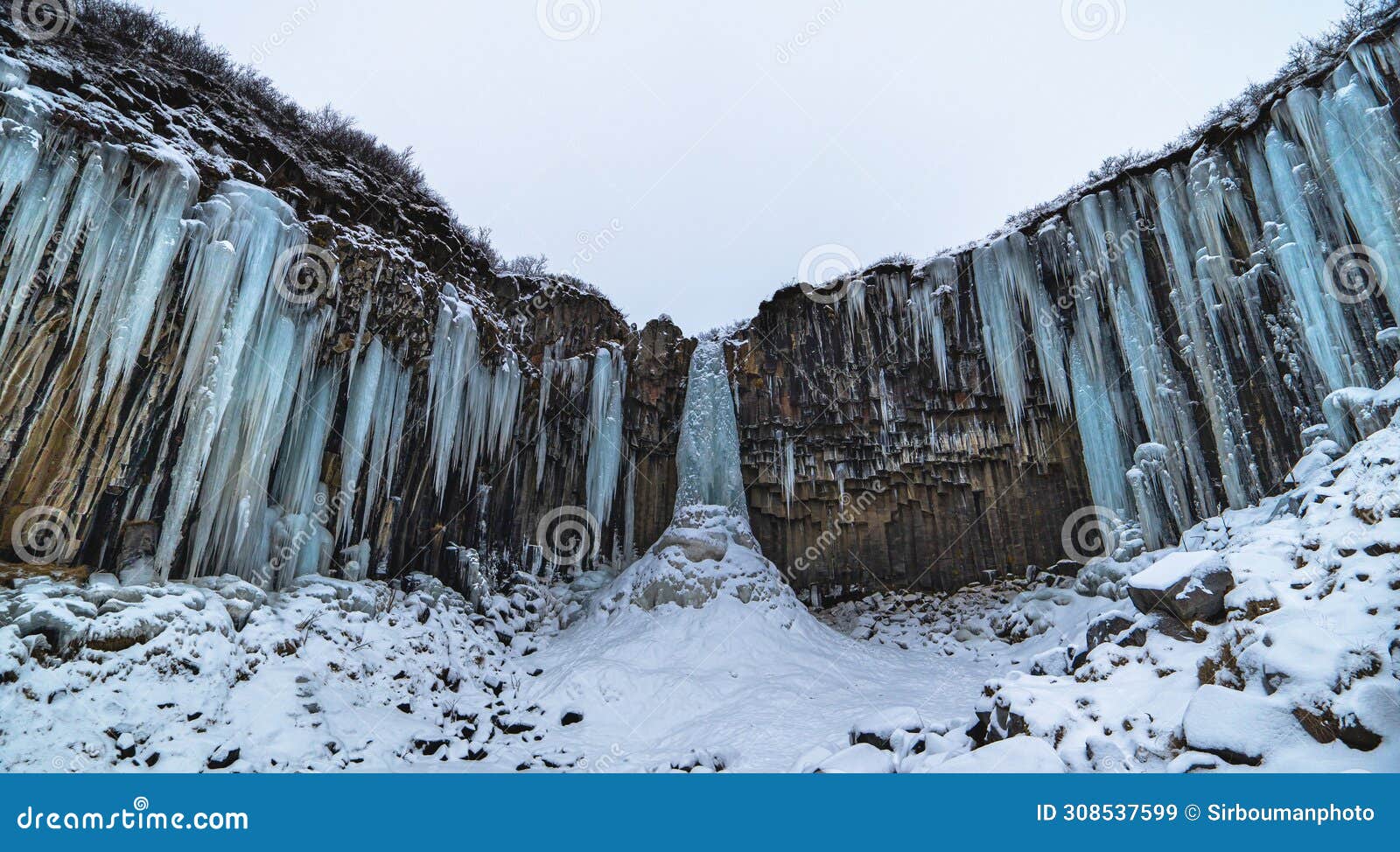 svartifoss iceland black waterfall completely frozen with bluish stalactites and snow under white sky