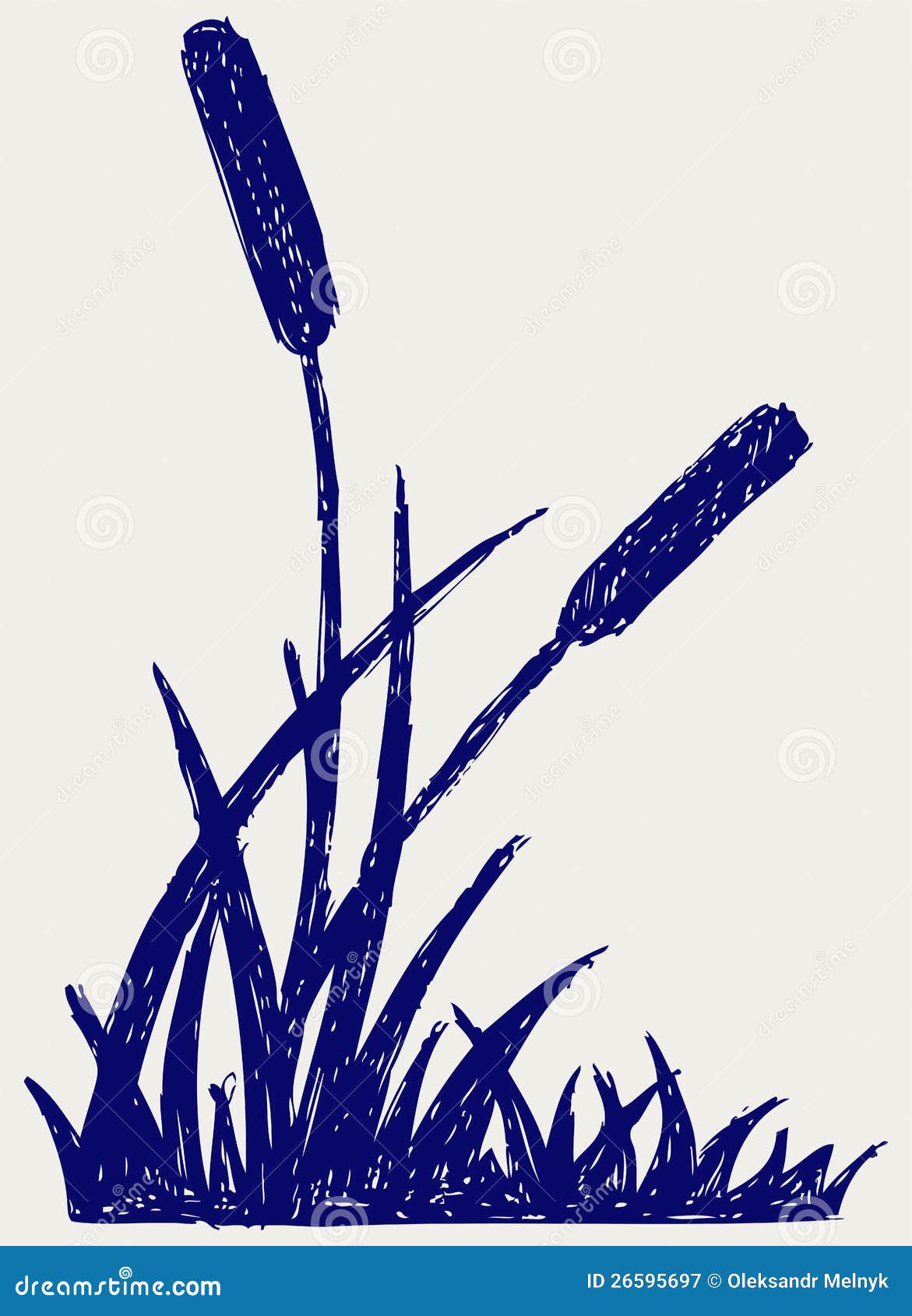Swamp sketch stock vector. Illustration of linework, ecology - 26595697