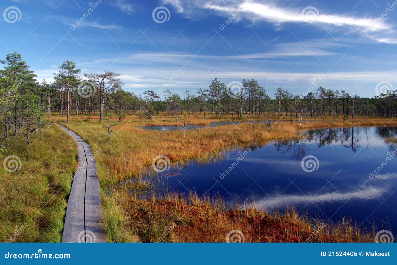 Swamp Viru in Estonia.the Nature of Stock Photo Image lake, 21524406