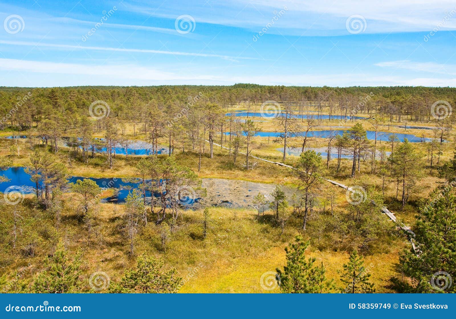 in Estonia stock image. Image green, - 58359749