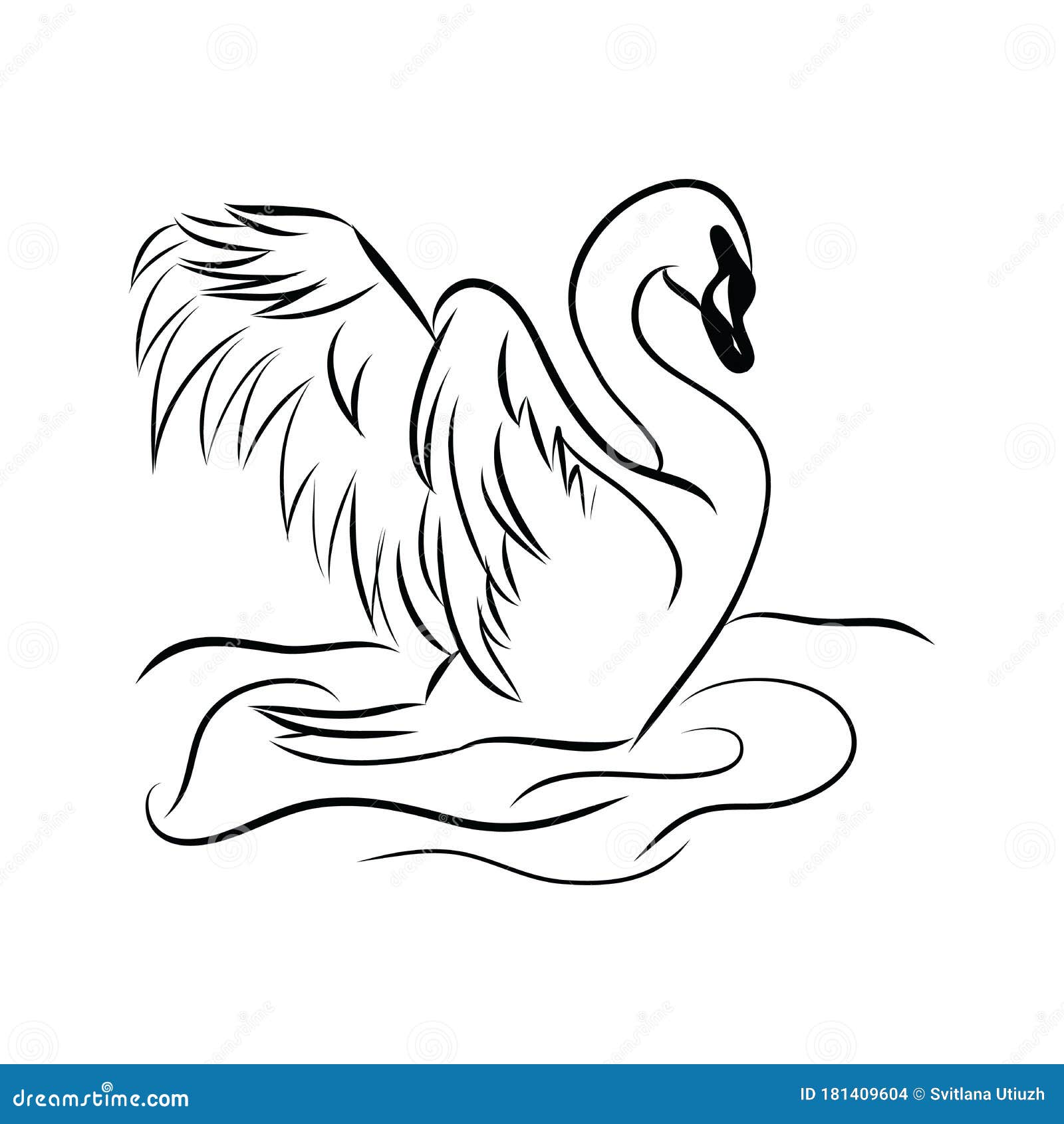 Swan Black White Bird Isolated Illustration Vector, Hand Draw, Sketch Stock Vector - Illustration of black: 181409604