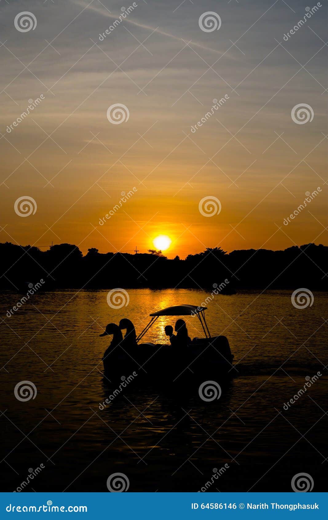 Swan pedal boat at sunset stock photo. Image of clean 64586146