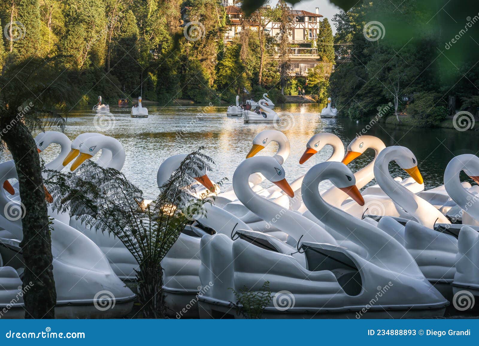swan pedal boats at lago negro park black lake with - gramado, rio grande do sul, brazil