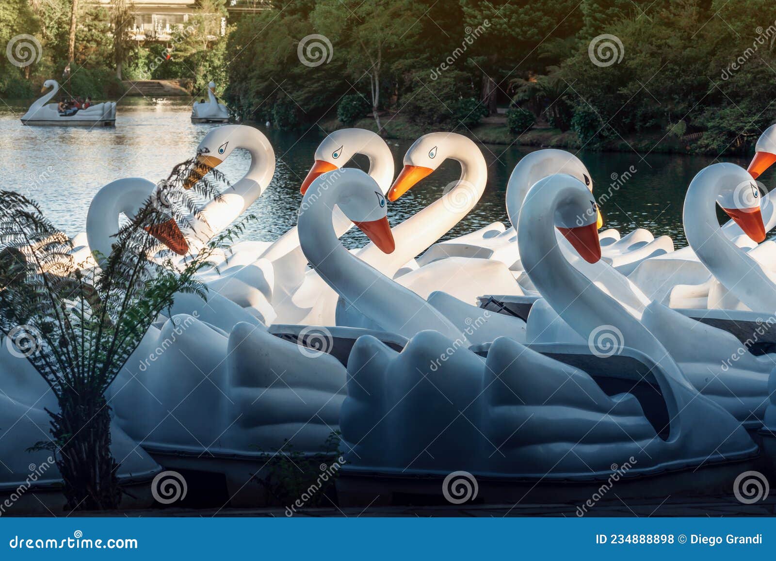 swan pedal boats at lago negro park black lake with  - gramado, rio grande do sul, brazil