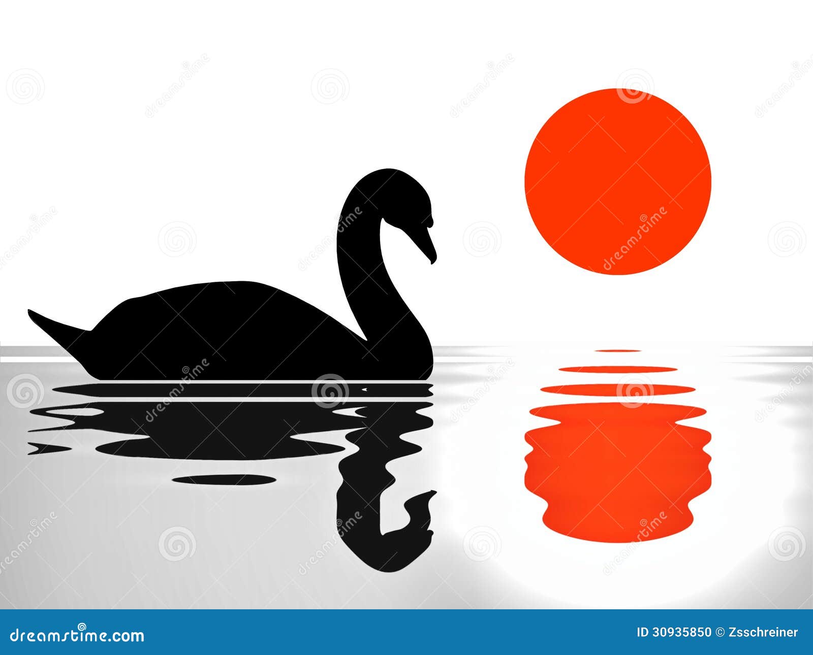 swan reflection on the lake/ sunset/silhouette 