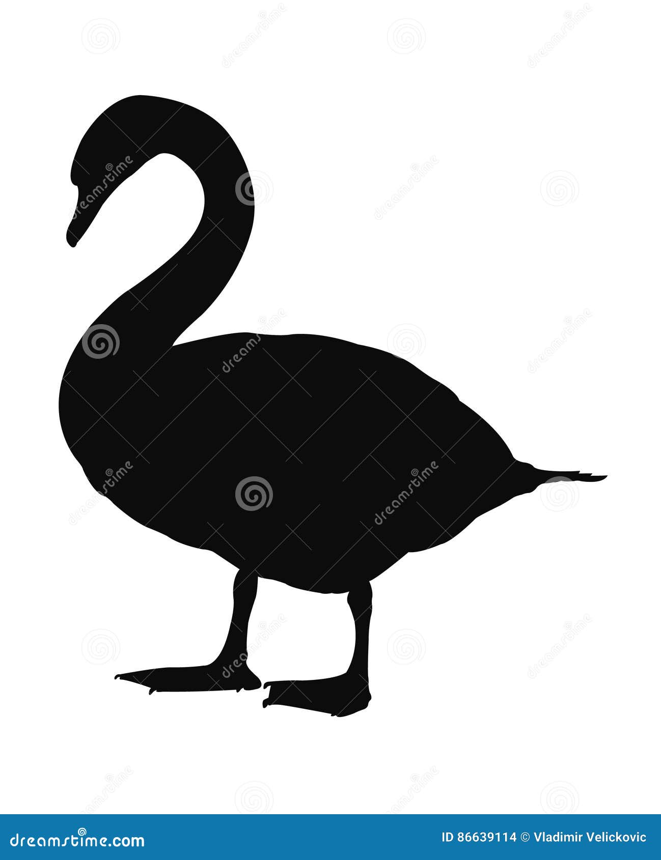 Swan Bird Clipart Silhouettes