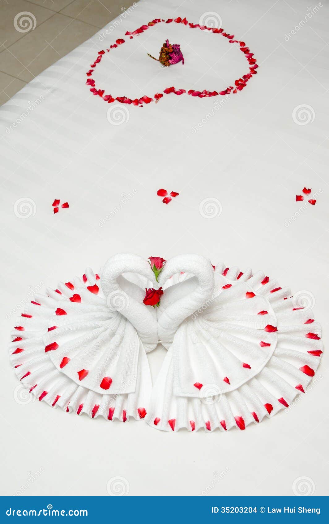 Swan Towel Origami stock photo. Image of wedding, suite 35203204